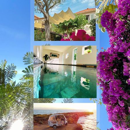 Hotel La Jabotte Antibes Zewnętrze zdjęcie