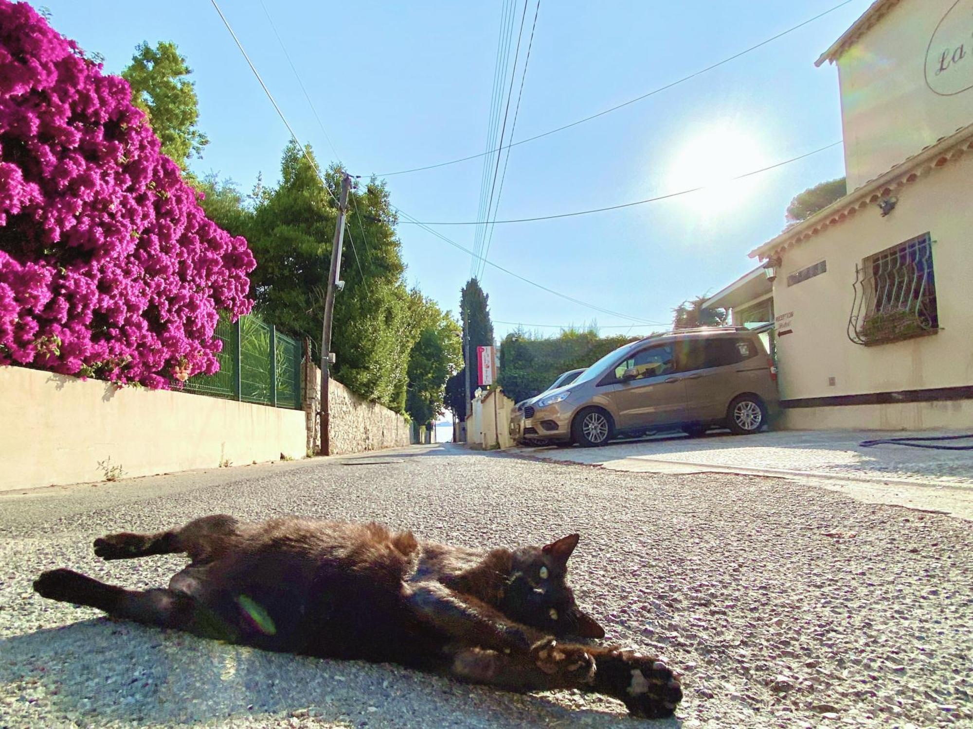 Hotel La Jabotte Antibes Zewnętrze zdjęcie