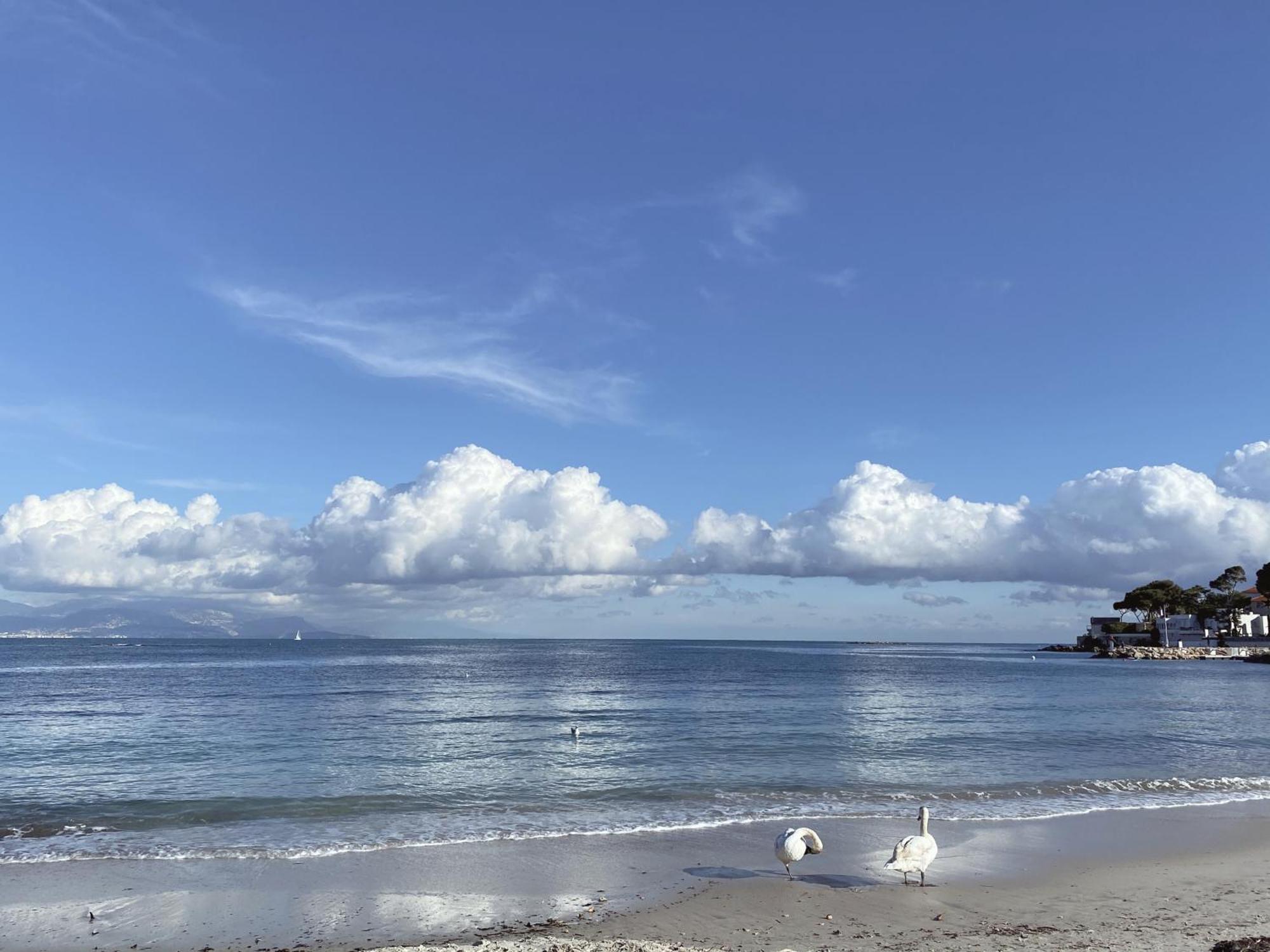 Hotel La Jabotte Antibes Zewnętrze zdjęcie